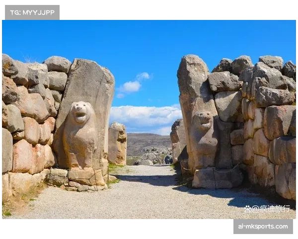 土耳其澳大利亚星月军团回归 居莱尔领衔面临袋鼠军团高空轰炸